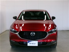 CX-30 20S ブラックトーンED