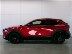 CX-30 20S ブラックトーンED