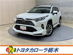 RAV4 G Zパッケージ