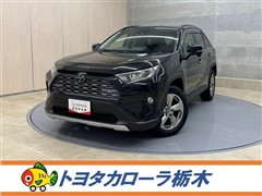 ＲＡＶ４