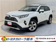RAV4 G
