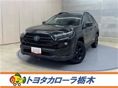 トヨタ RAV4 HEV アドベオフロ P2