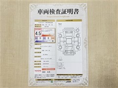 キャンバス ストライプス Gターボ