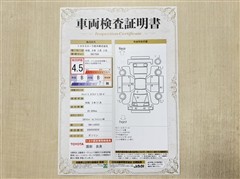 キャンバス ストライプス Gターボ