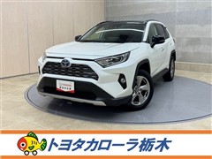 RAV4 HEV G