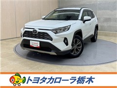 RAV4 G
