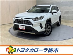RAV4 G