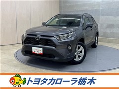 RAV4 X