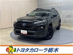 RAV4 HEV アドベ オフP2