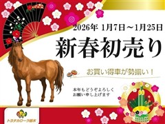 アクア S スタイルブラック