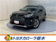 RAV4 G Zパッケージ