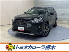 RAV4 G