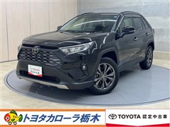 RAV4 G
