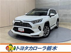 RAV4 G Zパッケージ