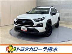 トヨタ RAV4 HEV アドオフロードP2