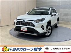 RAV4 HEV G