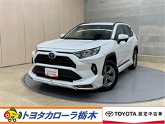 RAV4 X