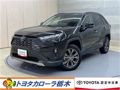 RAV4 HEV G