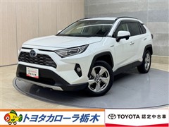 RAV4 HEV G