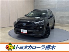 RAV4 HEVアドベン オフP2