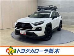 RAV4 HEVアドベンチャオフP2