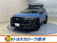 RAV4 HEVアドベンチャオフP2