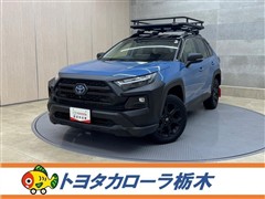 RAV4 HEVアドベンチャオフP2