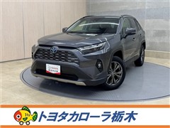 RAV4 HEV G