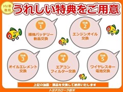 カローラツーリングHEV WxB