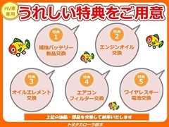 カローラツーリングHEV WxB