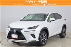 NX300I package