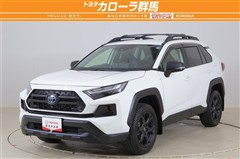 トヨタ RAV4 HVアドベ オフロード2