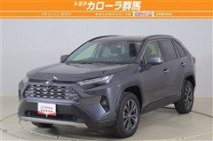 ＲＡＶ４