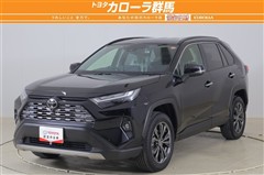 RAV4 ハイブリッドG 4WD