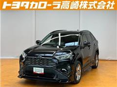 RAV4 G
