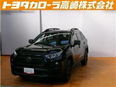 RAV4 アドベンチャーオフロート2