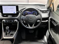RAV4 G