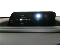 CX-30 X 100シュウネンキネンシ