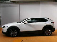 CX-30 X 100シュウネンキネンシ