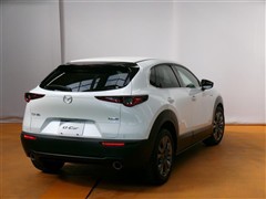 CX-30 X 100シュウネンキネンシ
