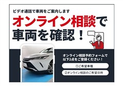 ランクルプラドTX L  BL ED