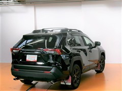RAV4 アドベンチャー オフロート
