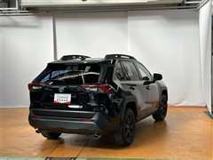 RAV4 アドベンチャー オフロート