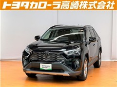 RAV4 G