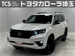 ランクルプラドTX LマットBL
