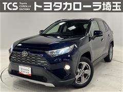 RAV4 G