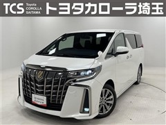 アルファード Sタイプゴールド2