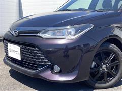 カローラフィールダー G WXB