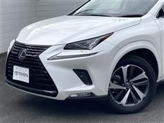 NX300h ブラックシークエンス