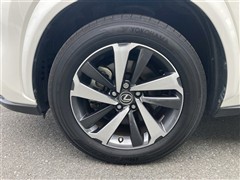 NX300h ブラックシークエンス